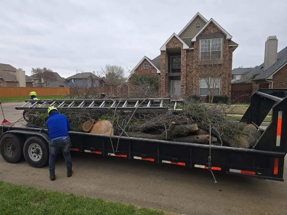 Expert Tree Fertilization with proper safety equipment in Pine Mountain Valley